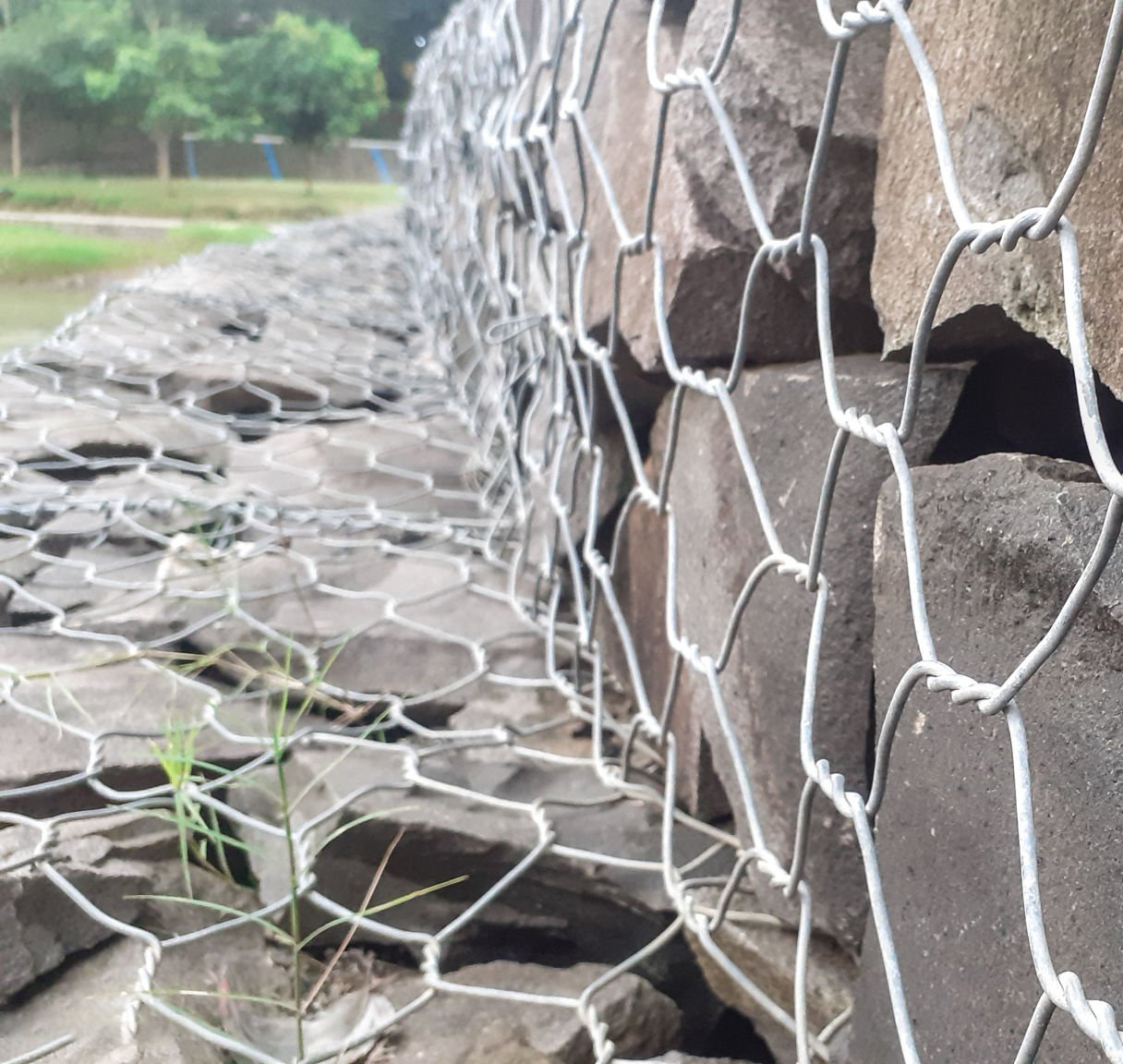 PE-coated Gabion